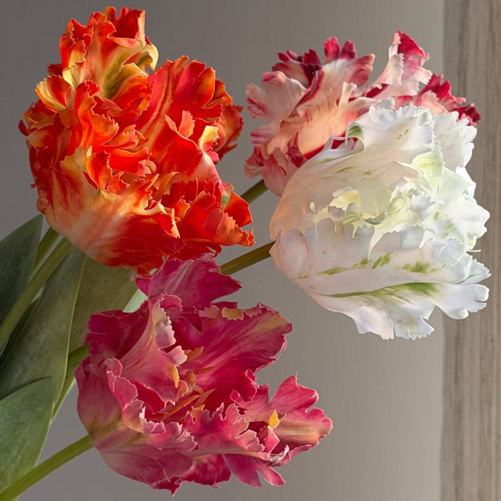 Dramatic Ruffled Tulips Stems