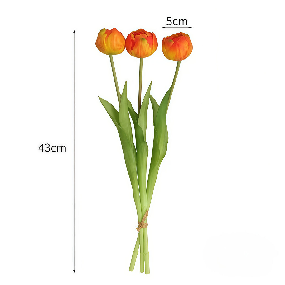 Double Tulip Stem